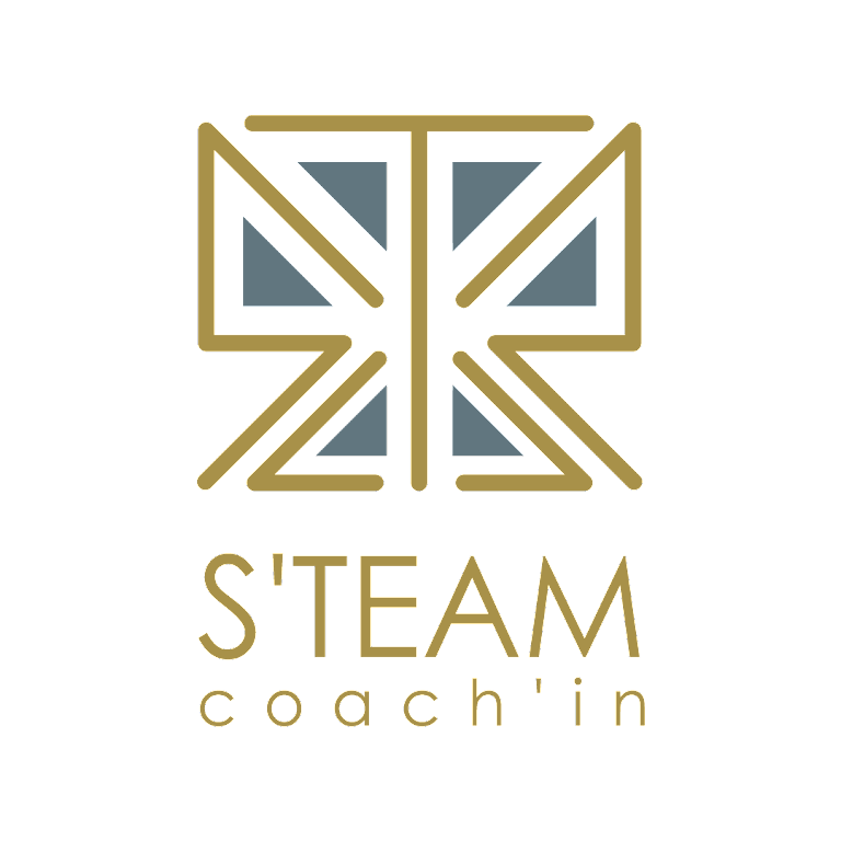 s'team coach'in